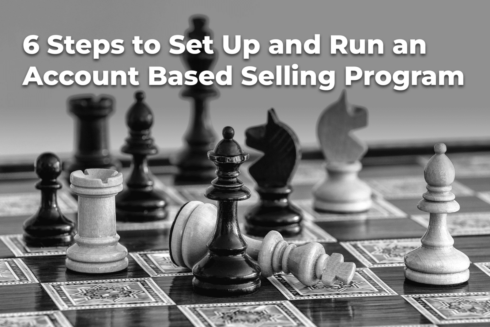6 Steps to Set Up and Run an Account Based Selling Program